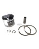 Piston Kit Ring Set Pin Clip Assy 1123-030-2002 for STIHL 025 MS250 42MM Kolben Chainsaw Engine