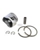 Piston Assy With Rings, Clips & Pin 1123-030-2002 For Stihl Chainsaw 025 MS250 42MM Motor Engine Piston Assy With Rings, Clips & Pin 1123-030-2002 For Stihl Chainsaw 025 MS250 42MM Motor Engine