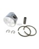 Piston Assy With Rings, Clips & Pin 1123-030-2002 For Stihl Chainsaw 025 MS250 42MM Motor Engine Piston Assy With Rings, Clips & Pin 1123-030-2002 For Stihl Chainsaw 025 MS250 42MM Motor Engine