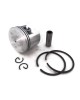 Piston Kit Ring Set Kolben 1119 030 2000 STIHL 038 038AV 038 AV Chainsaw 48MM 1119 030 2000 Engine Piston Kit Ring Set Kolben 1119 030 2000 STIHL 038 038AV 038 AV Chainsaw 48MM 1119 030 2000 Engine