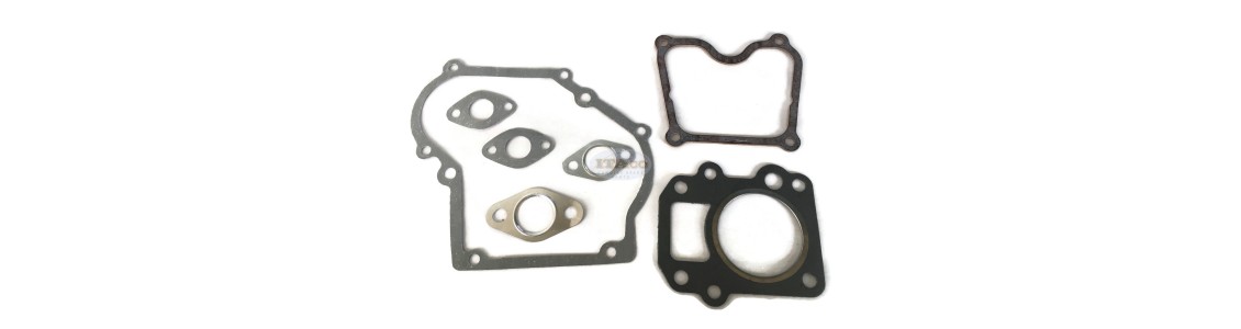 Gasket