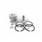 For 70.75mm Bore Chinese 170F 170 F 4.5HP Diesel Engine Piston Kit Assy Ring Set Oversize 0.75 030