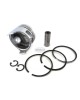 Replaces 70mm Bore Chinese 170F 170 F 4.5HP Diesel Engine Piston Kit Assy Ring Set STD Replaces 70mm Bore Chinese 170F 170 F 4.5HP Diesel Engine Piston Kit Assy Ring Set STD