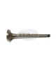 Exhaust Exh Valve 104200-11110 for Yanmar Diesel TS60 2QM15 2TR 13Y 2TR 13A Forklift Tractor Engine Exhaust Exh Valve 104200-11110 for Yanmar Diesel TS60 2QM15 2TR 13Y 2TR 13A Forklift Tractor Engine