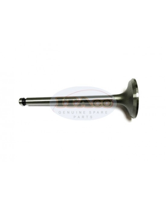 Inlet Suction In Valve Valves 104200-11100 for Yanmar Diesel TS60 2QM15 2TR 13Y 2TR 13A Tractor Engine Inlet Suction In Valve Valves 104200-11100 for Yanmar Diesel TS60 2QM15 2TR 13Y 2TR 13A Tractor Engine