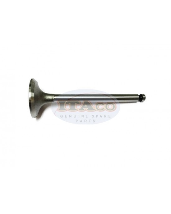 Inlet Suction In Valve Valves 104200-11100 for Yanmar Diesel TS60 2QM15 2TR 13Y 2TR 13A Tractor Engine Inlet Suction In Valve Valves 104200-11100 for Yanmar Diesel TS60 2QM15 2TR 13Y 2TR 13A Tractor Engine