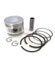 Piston Assy Kit Ring Set Assy For Honda Motor GX160 GXV160 5.5HP GX200 6.5HP Rings Engine size 68MM Lawnmowers Push Trimmers Pressure Washers