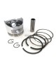 Piston Assy Kit Ring Set Assy For Honda Motor GX160 GXV160 5.5HP GX200 6.5HP Rings Engine size 68MM Lawnmowers Push Trimmers Pressure Washers Piston Assy Kit Ring Set Assy For Honda Motor GX160 GXV160 5.5HP GX200 6.5HP Rings Engine size 68MM Lawnmowers Push Trimmers Pressure Washers