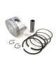 Piston Assy Kit Ring Set Assy For Honda Motor GX160 GXV160 5.5HP GX200 6.5HP Rings Engine size 68MM Lawnmowers Push Trimmers Pressure Washers Piston Assy Kit Ring Set Assy For Honda Motor GX160 GXV160 5.5HP GX200 6.5HP Rings Engine size 68MM Lawnmowers Push Trimmers Pressure Washers