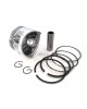 Piston Assy Kit Ring Set Assy For Honda Motor GX160 GXV160 5.5HP GX200 6.5HP Rings Engine size 68MM Lawnmowers Push Trimmers Pressure Washers Piston Assy Kit Ring Set Assy For Honda Motor GX160 GXV160 5.5HP GX200 6.5HP Rings Engine size 68MM Lawnmowers Push Trimmers Pressure Washers