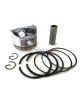 Piston Kit Ring Set Pin & Clip For Honda GX200 EB3000 EM2500 FR750 HS724 and 6.5HP Engine 68MM 13101-ZL0-010/000, 13101-Z0T-800 Piston Kit Ring Set Pin & Clip For Honda GX200 EB3000 EM2500 FR750 HS724 and 6.5HP Engine 68MM 13101-ZL0-010/000, 13101-Z0T-800