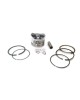 Piston Kit Ring Set Assy 13101-ZM5-000 13101-ZM5-030 for Honda Motor GX31, FG100, HHE31C, UMK431, WX10 - 4 Stroke, Chinese 139F Engine Lawnmower Trimmer