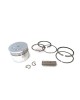 Piston Kit Ring Set Assy 13101-ZM5-000 13101-ZM5-030 for Honda Motor GX31, FG100, HHE31C, UMK431, WX10 - 4 Stroke, Chinese 139F Engine Lawnmower Trimmer