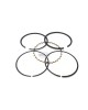 Genuine Honda 5HP G200 GV200 E1500 ED1000 F500 HR21-5 HS50 W30 20 13010-889-013 YA0-004 883 67MM Piston Ring Set Lawnmower Trimmer Engine