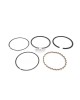 Original OEM Made in Japan Piston Ring Set 13010-YA1-003 for Honda G300 7HP 76MM Lawnmower Trimmer Engine Original OEM Made in Japan Piston Ring Set 13010-YA1-003 for Honda G300 7HP 76MM Lawnmower Trimmer Engine