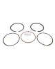Made in Japan OEM Genuine 13010-YA2-003 replace Honda Motor G400 GV400 HT3810 E3500 E4500 EB4000 EMS4000 ES 4000 3500 EV4000 Piston Ring Rings Set STD Engine Made in Japan OEM Genuine 13010-YA2-003 replace Honda Motor G400 GV400 HT3810 E3500 E4500 EB4000 EMS4000 ES 4000 3500 EV4000 Piston Ring Rings Set STD Engine
