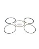 Made in Japan OEM Genuine 13011-YA2-003 O/S 0.25 for Honda G400 GV400 HT3810 E3500 E4500 EB4000 EMS4000 ES 4000 3500 EV4000 Piston Ring Rings Set Lawnmower Trimmer Engine Made in Japan OEM Genuine 13011-YA2-003 O/S 0.25 for Honda G400 GV400 HT3810 E3500 E4500 EB4000 EMS4000 ES 4000 3500 EV4000 Piston Ring Rings Set Lawnmower Trimmer Engine