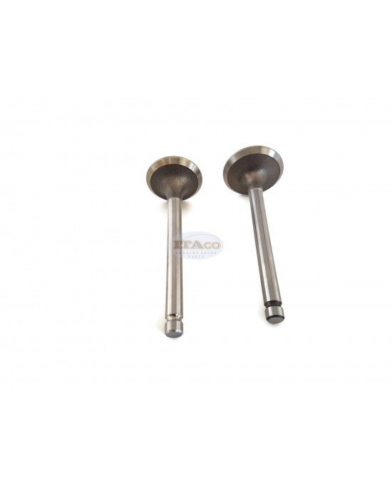 For EX17 EX21 EP Exhaust Intake Suction Ex In Valve 277-33501 277-33401 H3 13 00 for 6HP 7HPa Robin Lawnmower Trimmer Engine For EX17 EX21 EP Exhaust Intake Suction Ex In Valve 277-33501 277-33401 H3 13 00 for 6HP 7HPa Robin Lawnmower Trimmer Engine