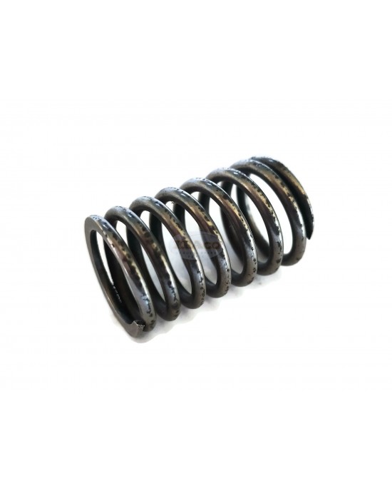OEM Made in Japan Valve Spring 227-33601-03 for Robin Subaru EY15 EY20 EY28 Motor Lawnmower Trimmer Engine OEM Made in Japan Valve Spring 227-33601-03 for Robin Subaru EY15 EY20 EY28 Motor Lawnmower Trimmer Engine