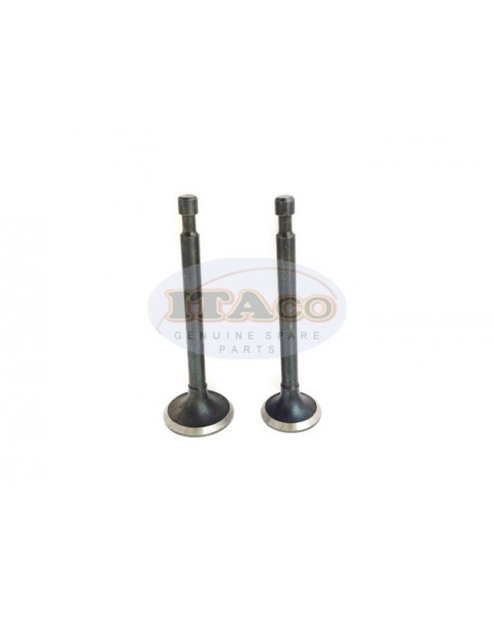 Exhaust Valve Intake Valve Suction EX IN 227-33501-03 227-33401-03 for Robin Subaru EY20 5hp Motor Lawnmower Trimmer Engine Exhaust Valve Intake Valve Suction EX IN 227-33501-03 227-33401-03 for Robin Subaru EY20 5hp Motor Lawnmower Trimmer Engine