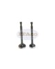 Exhaust Valve Intake Valve Suction EX IN 227-33501-03 227-33401-03 for Robin Subaru EY20 5hp Motor Lawnmower Trimmer Engine Exhaust Valve Intake Valve Suction EX IN 227-33501-03 227-33401-03 for Robin Subaru EY20 5hp Motor Lawnmower Trimmer Engine