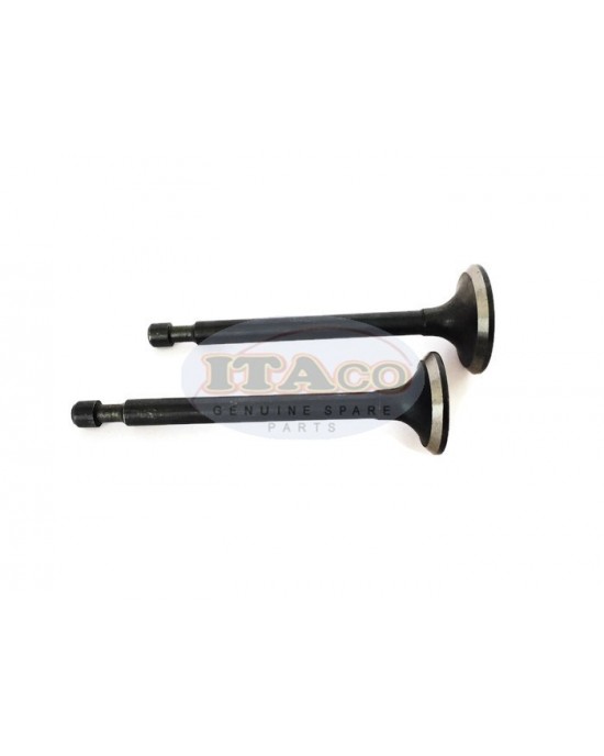 Exhaust Valve Intake Valve Suction EX IN 227-33501-03 227-33401-03 for Robin Subaru EY20 5hp Motor Lawnmower Trimmer Engine Exhaust Valve Intake Valve Suction EX IN 227-33501-03 227-33401-03 for Robin Subaru EY20 5hp Motor Lawnmower Trimmer Engine
