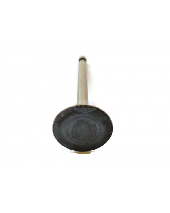 Genuine OEM Made in Japan Intake Inlet Suction Valve 14711-883-000 Replaces Honda G200 GV200 5HP Lawnmower Motor Engine Genuine OEM Made in Japan Intake Inlet Suction Valve 14711-883-000 Replaces Honda G200 GV200 5HP Lawnmower Motor Engine