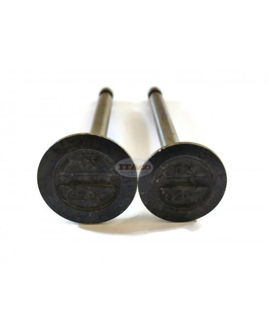 Intake Inlet Suction Exhaust Valve 14711-883-000 14721-883-000 Honda G200 GV200 5HP Lawnmower Motor Engine Intake Inlet Suction Exhaust Valve 14711-883-000 14721-883-000 Honda G200 GV200 5HP Lawnmower Motor Engine