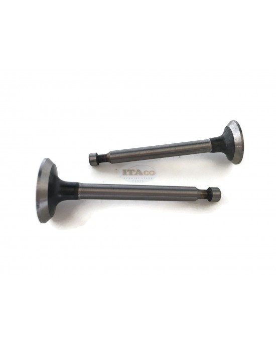 Replacement Intake & Exhaust Valve Valves In Ex 14711-ZE0-010 000 14721-ZE0-000 810 for Honda GX110 GXV120 4HP Lawn Mower Trimmer Motor Engine Replacement Intake & Exhaust Valve Valves In Ex 14711-ZE0-010 000 14721-ZE0-000 810 for Honda GX110 GXV120 4HP Lawn Mower Trimmer Motor Engine