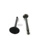 Replacement Intake & Exhaust Valve Valves In Ex 14711-ZE0-010 000 14721-ZE0-000 810 for Honda GX110 GXV120 4HP Lawn Mower Trimmer Motor Engine Replacement Intake & Exhaust Valve Valves In Ex 14711-ZE0-010 000 14721-ZE0-000 810 for Honda GX110 GXV120 4HP Lawn Mower Trimmer Motor Engine