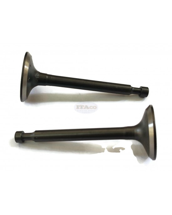 Intake Suction Exhaust Valve In Ex for Honda GX160 GX200 GXV160 14711-ZF1-000 14721-ZF1-000 Lawnmower Trimmer Motor Engine Intake Suction Exhaust Valve In Ex for Honda GX160 GX200 GXV160 14711-ZF1-000 14721-ZF1-000 Lawnmower Trimmer Motor Engine