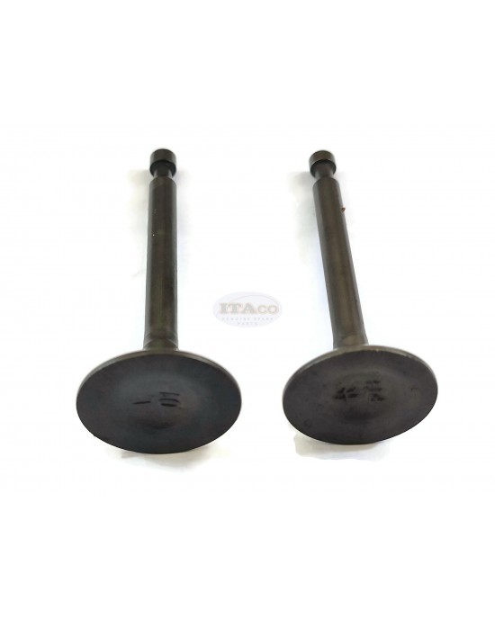 Intake Suction Exhaust Valve In Ex for Honda GX160 GX200 GXV160 14711-ZF1-000 14721-ZF1-000 Lawnmower Trimmer Motor Engine Intake Suction Exhaust Valve In Ex for Honda GX160 GX200 GXV160 14711-ZF1-000 14721-ZF1-000 Lawnmower Trimmer Motor Engine