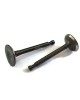 Intake Suction Exhaust Valve In Ex for Honda GX160 GX200 GXV160 14711-ZF1-000 14721-ZF1-000 Lawnmower Trimmer Motor Engine Intake Suction Exhaust Valve In Ex for Honda GX160 GX200 GXV160 14711-ZF1-000 14721-ZF1-000 Lawnmower Trimmer Motor Engine