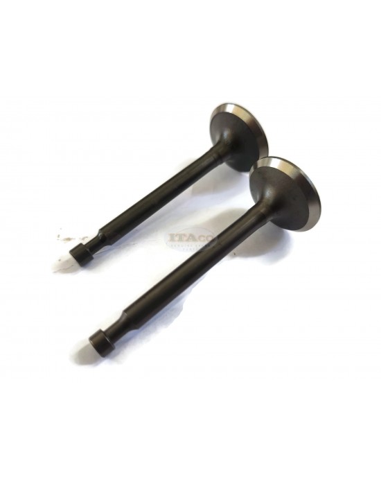 Intake Suction Exhaust Valve In Ex for Honda GX160 GX200 GXV160 14711-ZF1-000 14721-ZF1-000 Lawnmower Trimmer Motor Engine Intake Suction Exhaust Valve In Ex for Honda GX160 GX200 GXV160 14711-ZF1-000 14721-ZF1-000 Lawnmower Trimmer Motor Engine