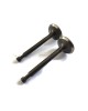 Intake Suction Exhaust Valve In Ex for Honda GX160 GX200 GXV160 14711-ZF1-000 14721-ZF1-000 Lawnmower Trimmer Motor Engine Intake Suction Exhaust Valve In Ex for Honda GX160 GX200 GXV160 14711-ZF1-000 14721-ZF1-000 Lawnmower Trimmer Motor Engine