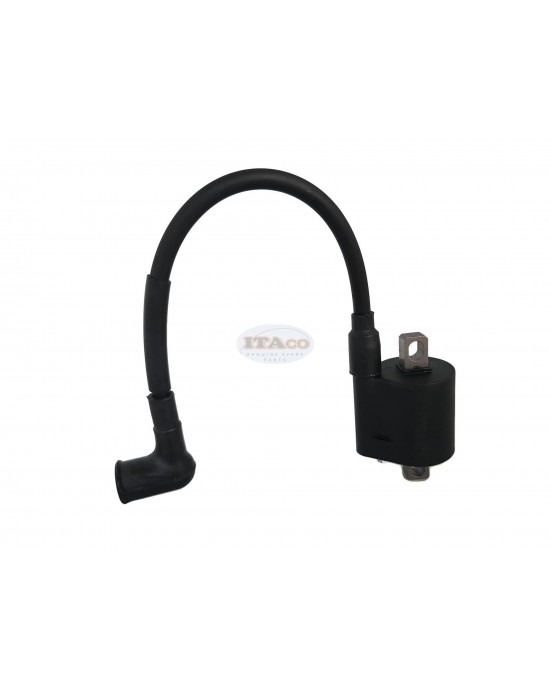 Boat Motor T5-05000400 Ignition Coil Assy Parsun Makara Outboard 2-stroke T4 T5 T5.8HP Engine Boat Motor T5-05000400 Ignition Coil Assy Parsun Makara Outboard 2-stroke T4 T5 T5.8HP Engine