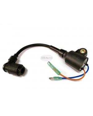 Boat Motor 3F0-06153-0 M 3F0060491M 3F0061530M 3FO-01653 Ignition Coil Assy Magneto for Tohatsu Nissan Outboard M NS 2.5HP 3.5HP 2-Stroke Engine