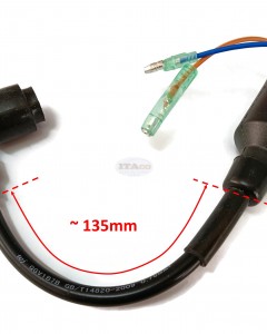 Boat Motor 3.5F-01.03.03 Ignition Coil Asy for Hidea Outboard 3.5HP T3.5 3.5F 2-stroke Engine