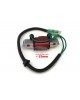 Boat Motor 61N-81313-09 T20-06040003 Lighting Coil for Yamaha Parsun Makara Outboard C 25HP 30HP 2-stroke Boats Engine