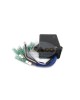 Boat Motor T20-06030100 CDI Unit for Parsun Makara Outboard 2-stroke T20 T25 T30A C.D.I. Assy Motor Engine