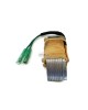 Boat Motor T15-04000300 Lighting Coil Assy for Parsun Makara Outboard T 9.9HP 15HP 2 stroke Boats Engine