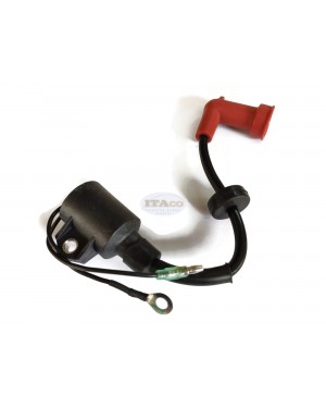 Boat Motor T15-04001200 Ignition Coil Assy for Parsun Makara Outboard T9.9 T15 HP Engine 2-stroke