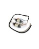 Boat Motor Exciter Charge Coil Assy 66T-85520-00-00 T40-05040007 For Yamaha Parsun Hidea Outboard 40HP T40 E40 40X M 2-stroke Engine Boat Motor Exciter Charge Coil Assy 66T-85520-00-00 T40-05040007 For Yamaha Parsun Hidea Outboard 40HP T40 E40 40X M 2-stroke Engine