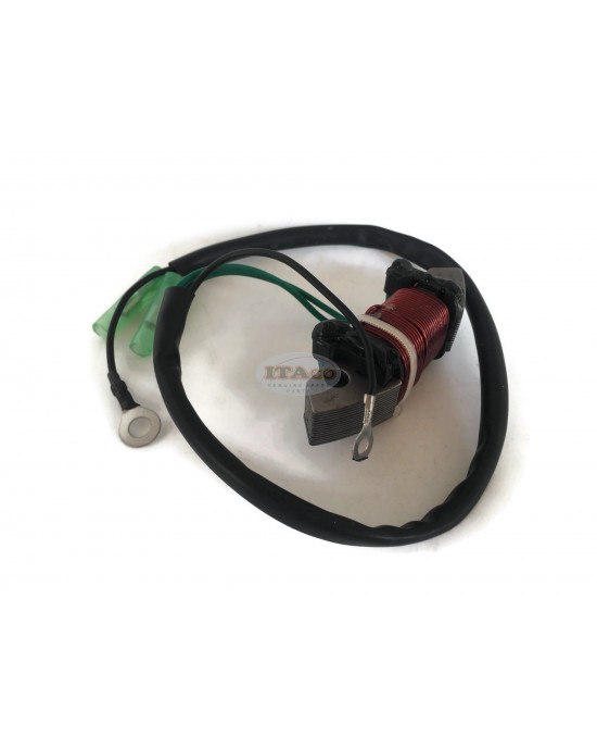 Boat Motor 66T-85533-0 Lighting Coil Case T40-05000600W for Yamaha Parsun Makara Outboard 40HP E 40X New 2 stroke Boat Engine