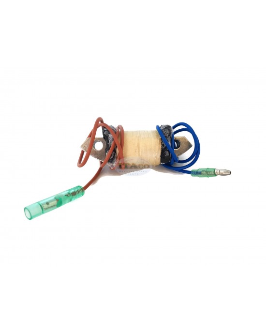 Boat Motor 30F-01.02.03.00 Charge Lighting Coil Assy for Hidea Outboard 30HP 25HP F 2-stroke Engine