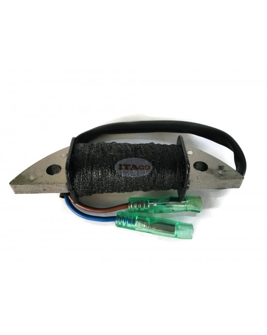 Boat Motor Charge Coil T15-04000200 TE15-05000200 for Parsun Makara Outboard 2-Stroke TE15 TE9.9 Engine Boat Motor Charge Coil T15-04000200 TE15-05000200 for Parsun Makara Outboard 2-Stroke TE15 TE9.9 Engine