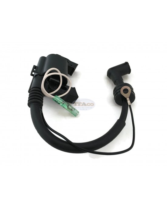 Boat Motor F6-04000400 Ignition Coil w/ CDI Assy for Parsun Makara Outboard F6HP F6C F6A 4 stroke Engine Boat Motor F6-04000400 Ignition Coil w/ CDI Assy for Parsun Makara Outboard F6HP F6C F6A 4 stroke Engine