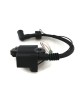 Boat Motor F6-04000400 Ignition Coil w/ CDI Assy for Parsun Makara Outboard F6HP F6C F6A 4 stroke Engine Boat Motor F6-04000400 Ignition Coil w/ CDI Assy for Parsun Makara Outboard F6HP F6C F6A 4 stroke Engine