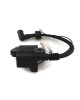 Boat Motor 6BV-85571 6BV-85570 Ignition Coil Assy with CDI for Yamaha Outboard F4HP F4C 4 stroke Engine