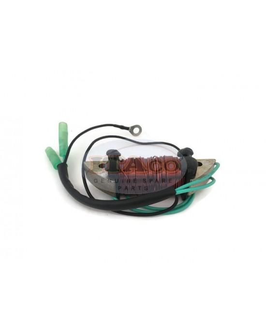 Boat Motor T36-04040200 Lighting Coil for Parsun Makara Outboard T 36HP 40HP E40 J 2-stroke Boats Engine